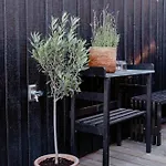 Fresh Air On Open Terrace With View بيت للعطل *