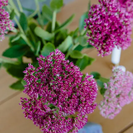 Fresh Air On Open Terrace With View *